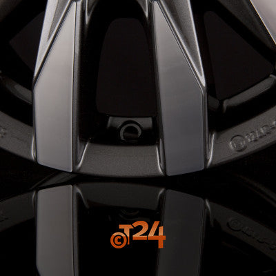 BORBET Velgen - CW6 Mistral Anthracite Glossy Polished - 17 inch