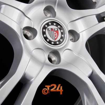 PLATIN Velgen - P 53 Silber - 15 inch